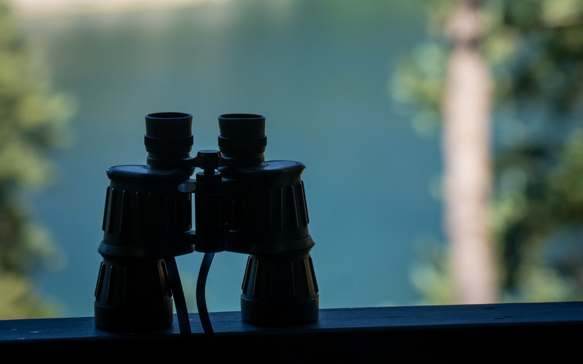 What Home and Land Inspection Red Flags Really Mean in Northern Wisconsin